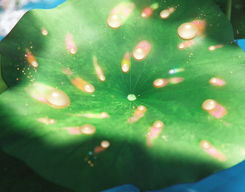 На фото показано магнитное зарядное устройство Samsung мощностью 25 Вт